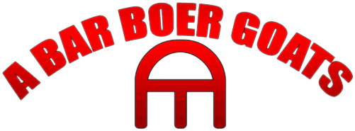 A Bar Boer Goats